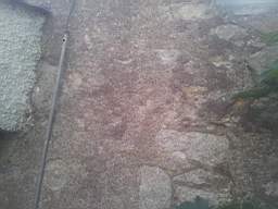 castlepark gate - 10310.jpg